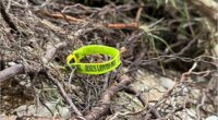 Texas flood survivors look for God in the face of tragedy