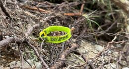 Texas flood survivors look for God in the face of tragedy