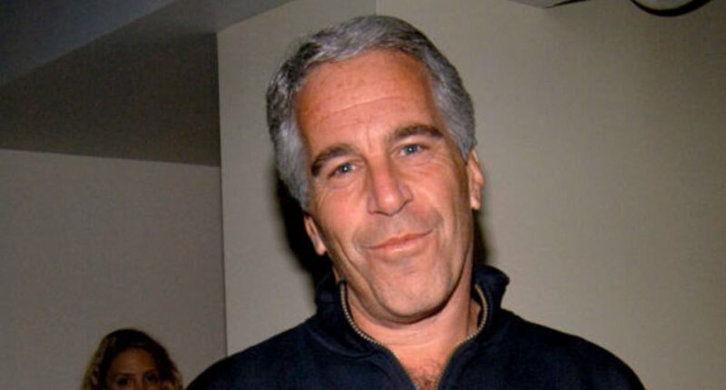 The REAL reason the Epstein 'client list' is never getting released
