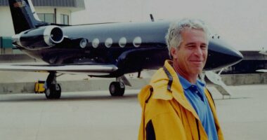 The detail in Epstein files that undermines DoJ's transparency claims