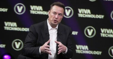 The real message behind Musk’s America Party 