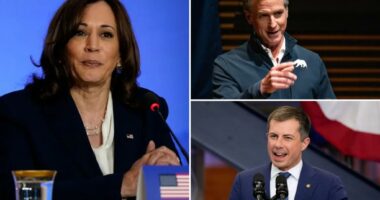 Three Democrats win double-digit support in early 2028 presidential primary poll