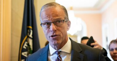 Thune: Recess appointments on table as Senate faces backlog of nominees