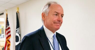 Top Biden aide Steve Ricchetti tells GOP panel ex-president was ‘fully capable’