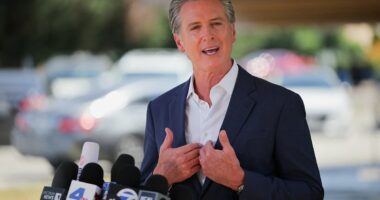 Top politician who's a 'shoo-in' to win the 2028 presidential election
