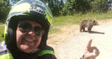 Tourist dragged into a ravine and killed by bear in Romania