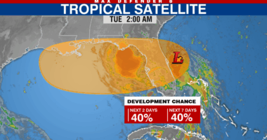 Tropical Depression could form by mid-week: NHC