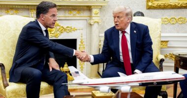 Trump, Rutte announce 'really big' NATO arms package amid new 50 day deadline to Putin