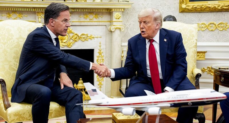 Trump, Rutte announce 'really big' NATO arms package amid new 50 day deadline to Putin