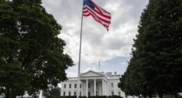 Trump administration is launching a new private health tracking system with Big Tech's help