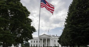 Trump administration is launching a new private health tracking system with Big Tech's help