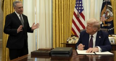 Trump administration releases plan for winning the 'AI race'