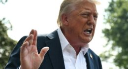 President Trump speaking to the press.