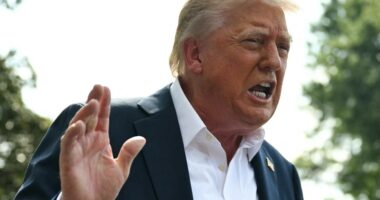 President Trump speaking to the press.