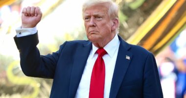 Trump 'asked Zelensky if Ukraine could hit Moscow if given weapons
