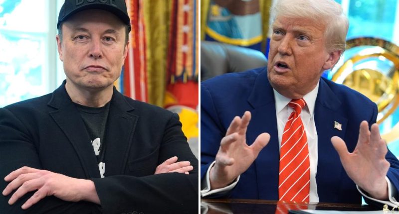 Trump calls Elon Musk's formation of new party 'ridiculous'