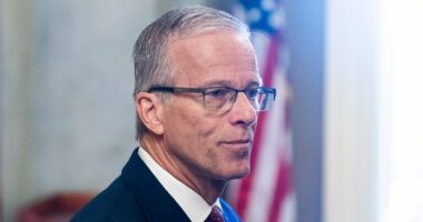 Trump calls on Thune to cancel Senate’s August recess to confirm his nominees