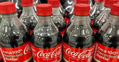Coca-Cola bottles made from 100% recycled materials.