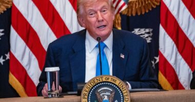 Trump gives Mexico a 90-day trade extension