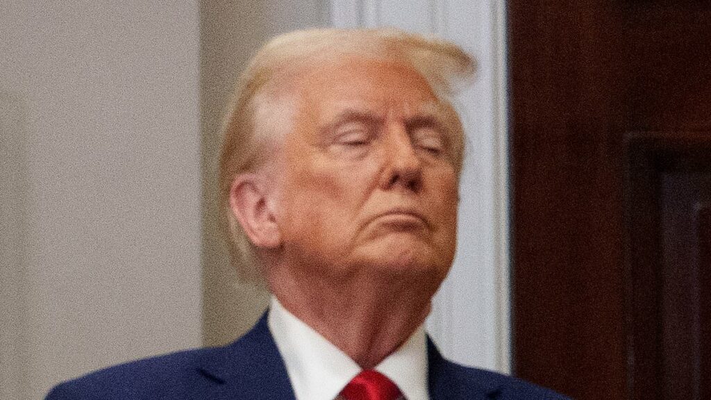 Trump has new billionaire buddy...who could be more powerful than Musk