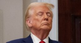 Trump has new billionaire buddy...who could be more powerful than Musk