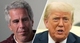 Trump offers MAGA a third option on Epstein 