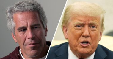 Trump offers MAGA a third option on Epstein 