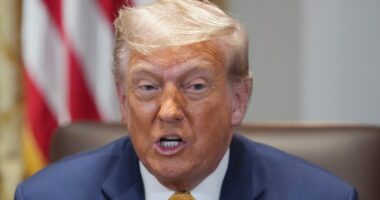 Trump on Epstein controversy: ‘Let Pam Bondi do her job’