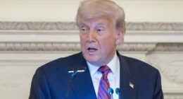 Trump says 'left lunatics' won't be satisfied with Epstein grand jury testimony