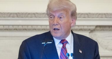Trump says 'left lunatics' won't be satisfied with Epstein grand jury testimony