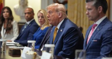 Trump says 50 percent tariff on copper imports imminent