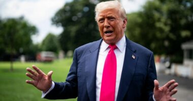 President Trump speaking to reporters.