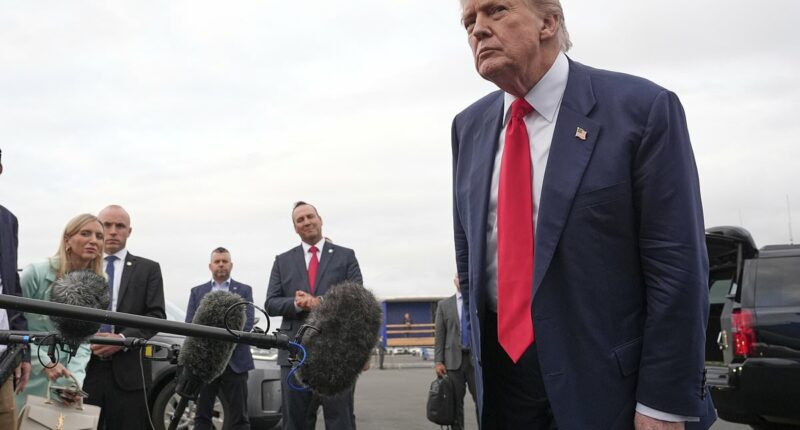 Trump says he was NEVER briefed on his name being in Epstein files
