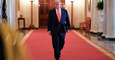 Trump slams Musk over BBB protests, suggests DOGE look at subsidies