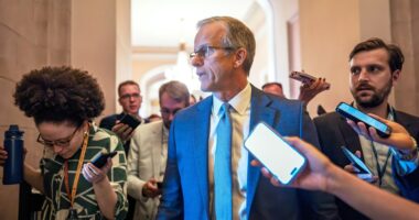 Trump team’s ‘pocket rescission’ idea runs into GOP opposition
