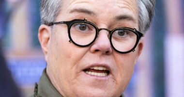 Rosie O'Donnell at the opening night of "Sunday in the Park with George."