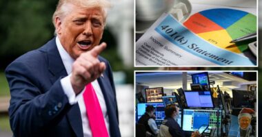 Trump to allow 401(k)s to invest in private equity: report