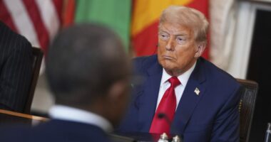 Trump: ‘I haven’t thought about’ who ordered Ukraine weapons pause