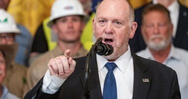 Trump's border czar challenges heckler to a fight during unhinged rant