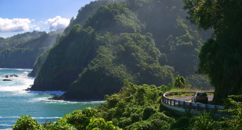 Car driving on a coastal road with ocean and cliffs.