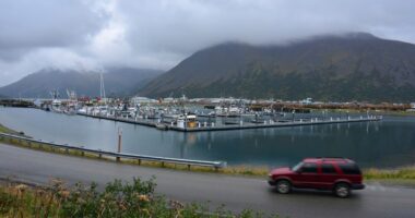 A red SUV drives past a harbor filled with fishing boats.