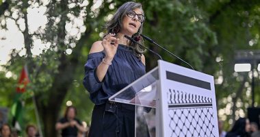 UN expert repeats Israel 'genocide' claims after US calls for her removal