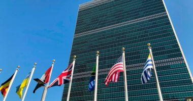 UN investigator: US sanctions 'going to hurt me'