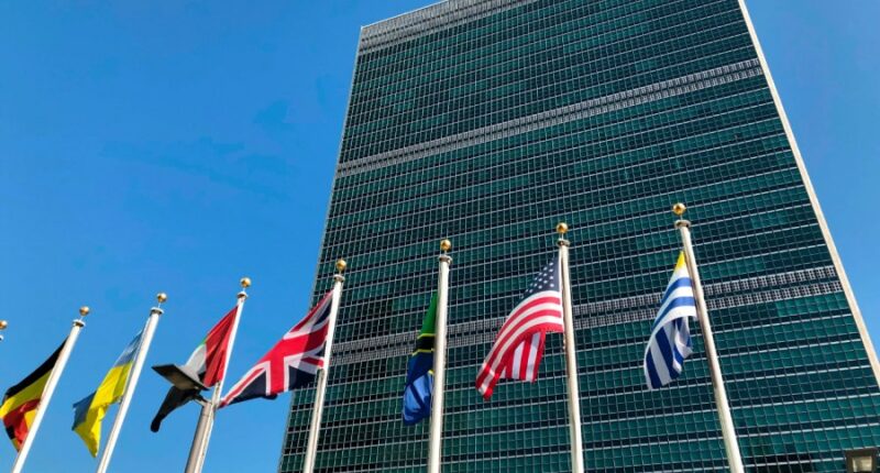 UN investigator: US sanctions 'going to hurt me'