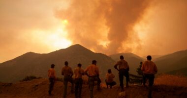 UN top court: Failure to act against climate change could violate international law