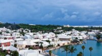 US cruise passengers nabbed after allegedly possessing lethal drug powerful enough to sedate elephants