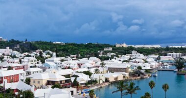 US cruise passengers nabbed after allegedly possessing lethal drug powerful enough to sedate elephants