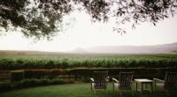 US wine producer announces round of layoffs and warns more to come