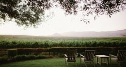 US wine producer announces round of layoffs and warns more to come