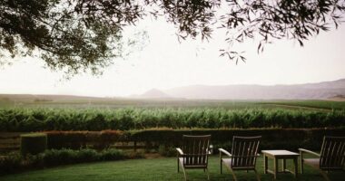 US wine producer announces round of layoffs and warns more to come